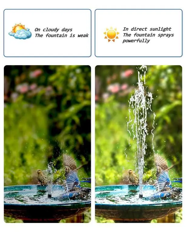 Biling Solar Water Fountain for Small Gardens with 6 Nozzles, 3.5W Pump photo 3