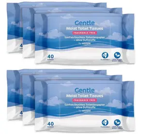 by Amazon Moist Toilet Tissues Unscented 240 Count (6x40)