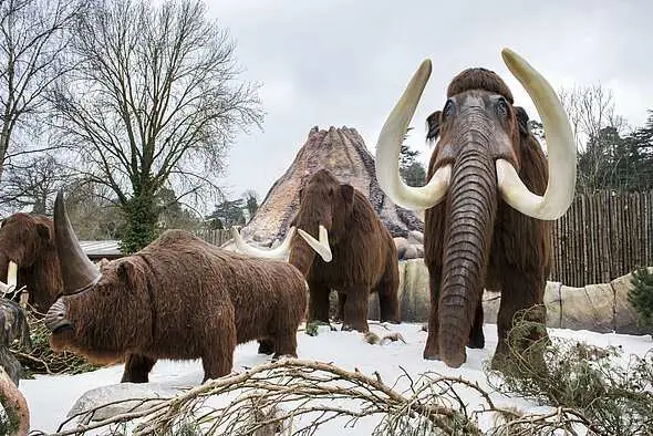 West Midland Safari Park children go free with each paying adult photo 2